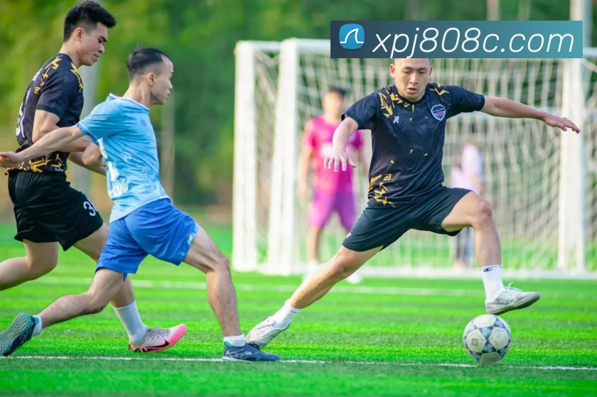 新葡京在线官网APP 体育赛事宣传图